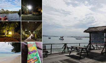 檢視 2011 06 二訪東馬沙巴 Nexus飯店美景-熱帶叢林遊船尋找長鼻猿-Borneo島戲水-基金大樓旋轉餐廳觀景